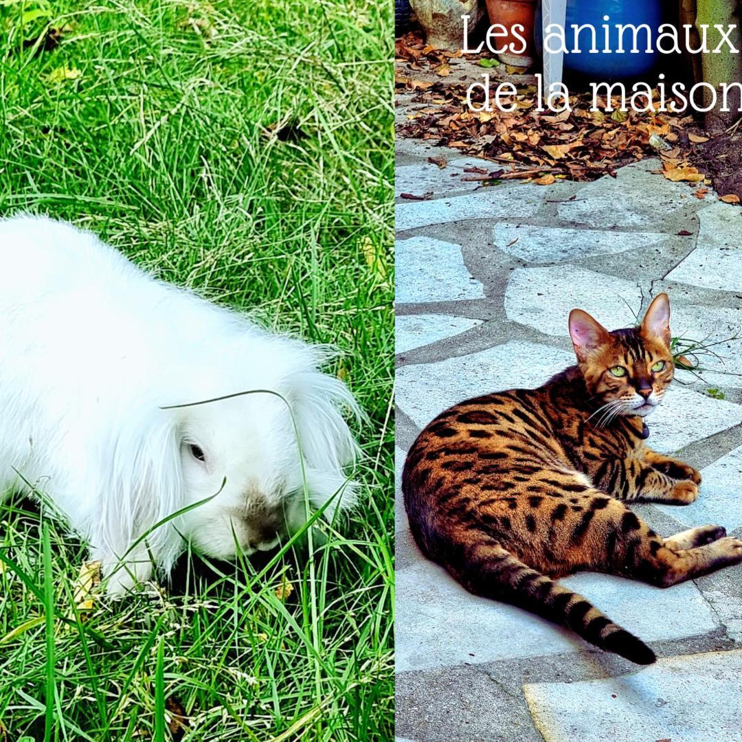 La Campagne A Paris 호텔 생클루 외부 사진